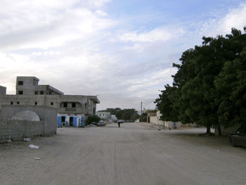 Trees and buildings against sky