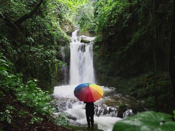 Scenic view of waterfall in forest