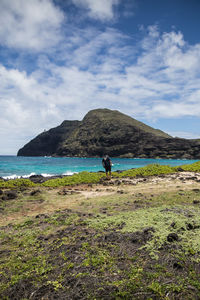 Rear view of man on beach