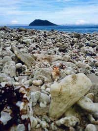 Rocks in sea against sky