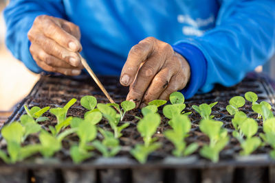 Man working on plants