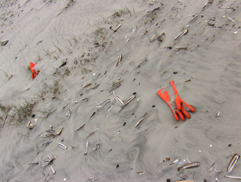 High angle view of rubber gloves on sandy beach