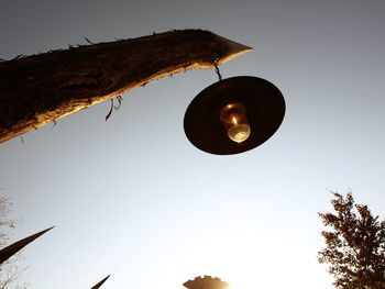 Low angle view of trees against clear sky