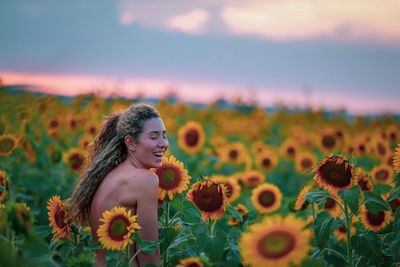 Scenic view of sunflower on field against sky