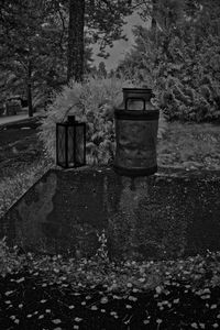 View of garbage bin against trees and plants