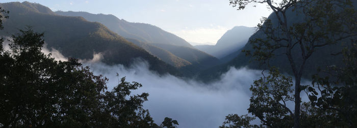 Low angle view of trees and mountains against sky