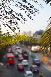 Close-up of traffic on road in city