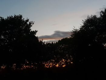 Low angle view of silhouette trees against sky during sunset