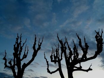 Low angle view of silhouette tree against sky