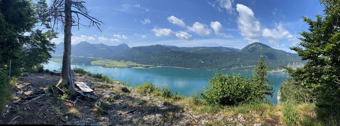 Panoramic view of lake and trees against sky