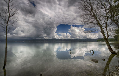 View of birds in lake against cloudy sky