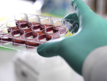 Cropped hand of scientist holding multiwell tray containing stem cells while working in laboratory