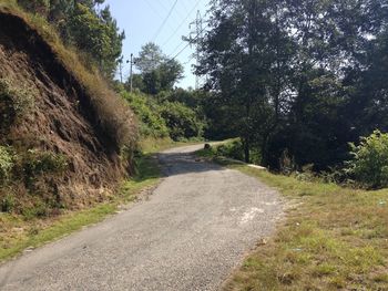 Road passing through trees