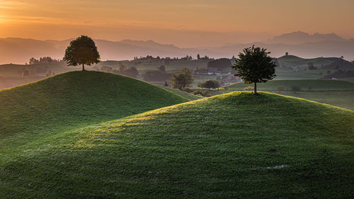 Scenic view of field against sky during sunset