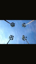 Low angle view of palm trees against clear blue sky