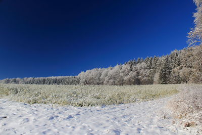 Snow covered field against clear blue sky