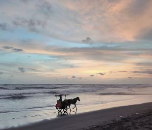 View of horse on beach against sky during sunset