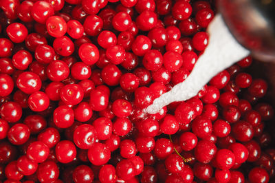 Cherry washing. sweet cherry washing in the kitchen sink