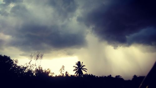 Low angle view of silhouette trees against storm clouds