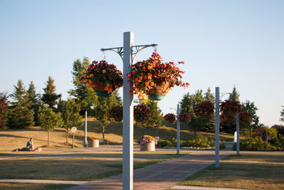 View of road along trees