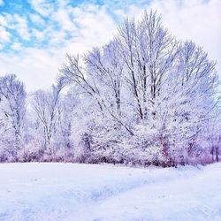 snow