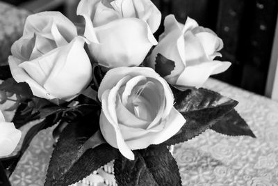 Close-up of roses blooming outdoors