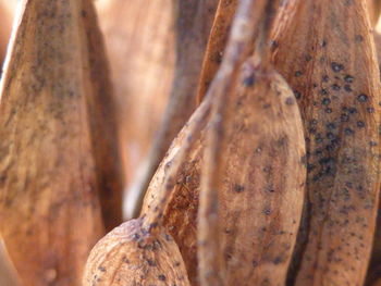 Close-up of wooden wall