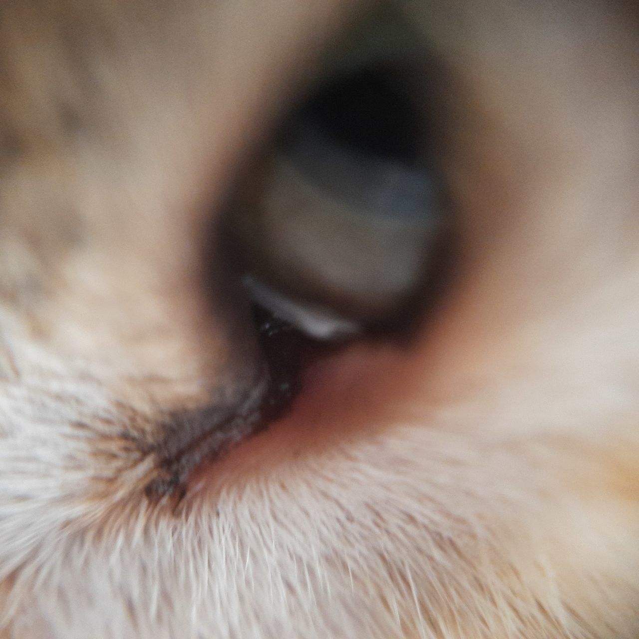 CLOSE-UP OF PERSON EYE