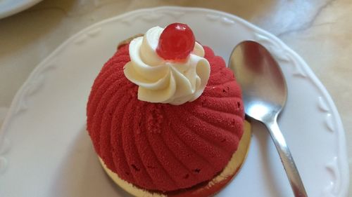 Close-up of ice cream in plate