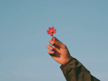 Hand holding red flower against blue sky