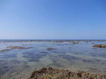 Scenic view of beach against clear blue sky