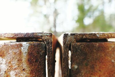 Close-up of rusty metallic railing