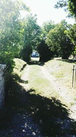 Empty footpath amidst trees