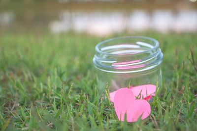 Close-up of pink flower in jar on grass