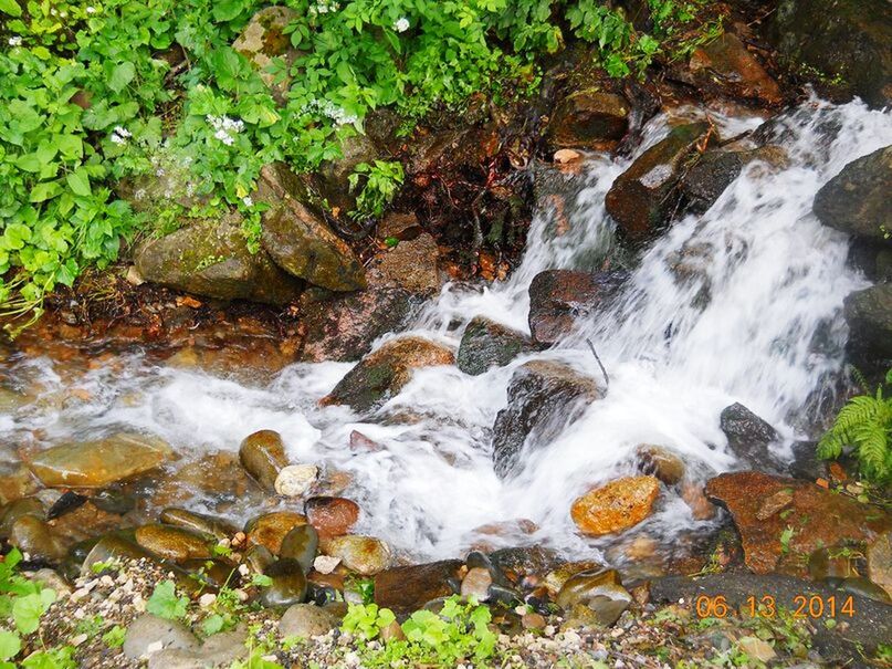 water, flowing water, motion, waterfall, flowing, rock - object, stream, forest, nature, beauty in nature, long exposure, scenics, plant, surf, river, rock, day, tranquility, moss, outdoors