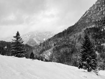 snow