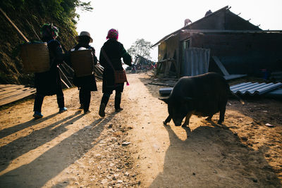 Rear view of woman walking by pig on dirt road