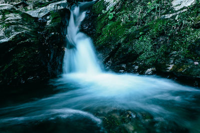Scenic view of waterfall in forest