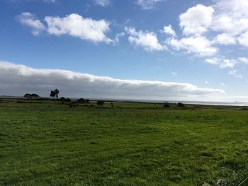 Scenic view of grassy landscape against cloudy sky