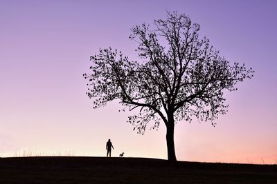 Silhouette tree on field against sky during sunset