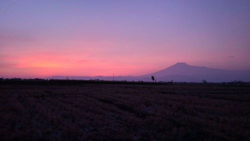 Scenic view of field against sky during sunset