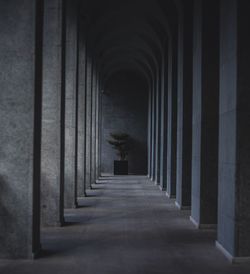 View of empty corridor