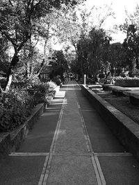 Footpath along trees