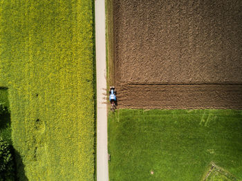 Aerial view of green landscape