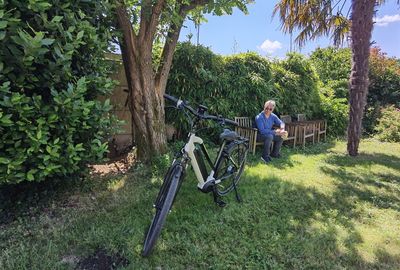 People on bicycle against trees