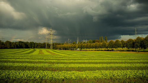 Scenic view of agricultural field against sky