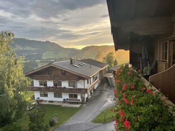 Plants and houses by buildings against sky during sunset