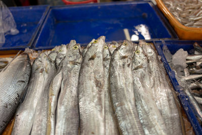 Close-up of fish for sale at market