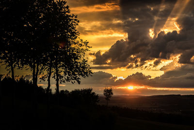 Silhouette trees against sky during sunset