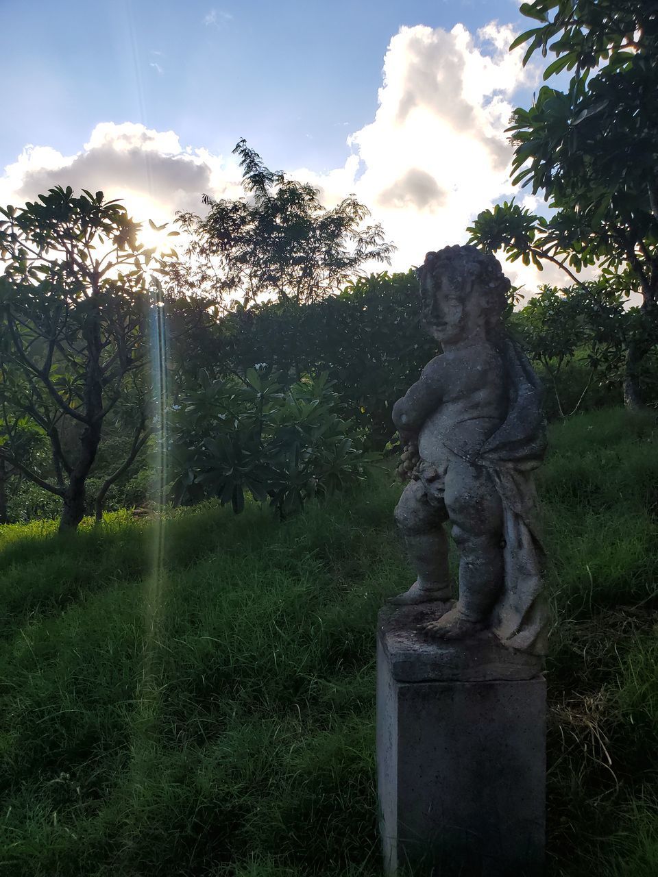 STATUE ON FIELD AGAINST TREES